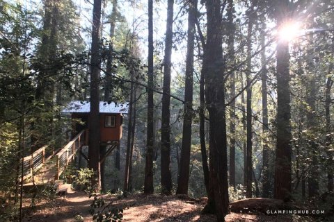 Sleep Underneath The Forest Canopy At This Cozy Treehouse In Northern California