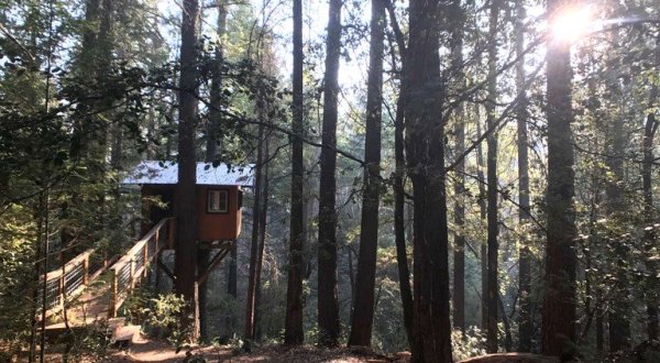 Sleep Underneath The Forest Canopy At This Cozy Treehouse In Northern California