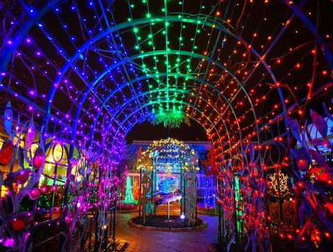 Phipps Conservatory’s Night Garden In Pennsylvania Is A Magical Wintertime Fairyland Experience