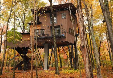 Getaway To A Treehouse Hotel At Winvian Farm, A Themed Hotel In Connecticut