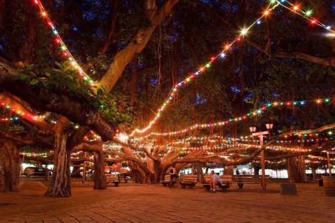 There's No Event More Festive Than Hawaii's Lahaina Banyan Tree Lighting Festival