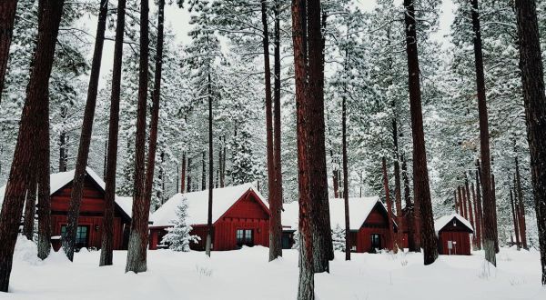 You’ll Find A Luxury Glampground At FivePine Lodge In Oregon, And It’s Ideal For Winter Snuggles And Relaxation
