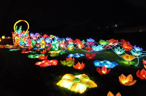 The Atlanta Chinese Lantern Festival Is Changing Georgia Into A Glow-In-The-Dark Wonderland