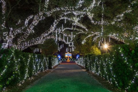 7 Christmas Light Displays In Louisiana That'll Instantly Get You In The Holiday Spirit