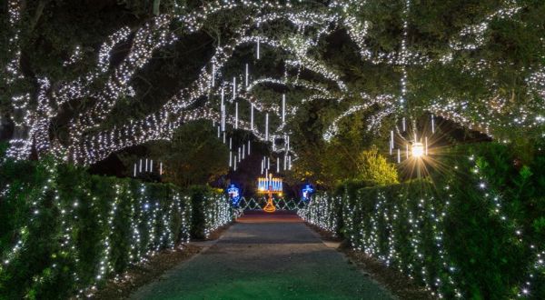 7 Christmas Light Displays In Louisiana That’ll Instantly Get You In The Holiday Spirit