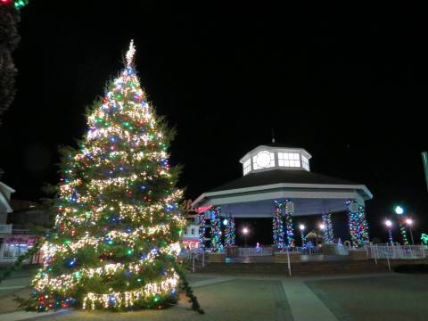 The Tallest Christmas Tree In Delaware Is A Towering And Twinkling Display Of Lights