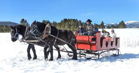 The Nancy Burch's Roadrunner Tours Enchanting Sleigh Ride Takes You Through A Winter Wonderland In New Mexico
