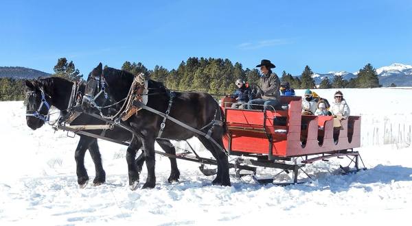 The Nancy Burch’s Roadrunner Tours Enchanting Sleigh Ride Takes You Through A Winter Wonderland In New Mexico