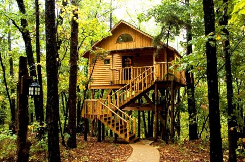 Experience The Fall Colors Like Never Before With A Stay At The Treehouse Cottages In Arkansas