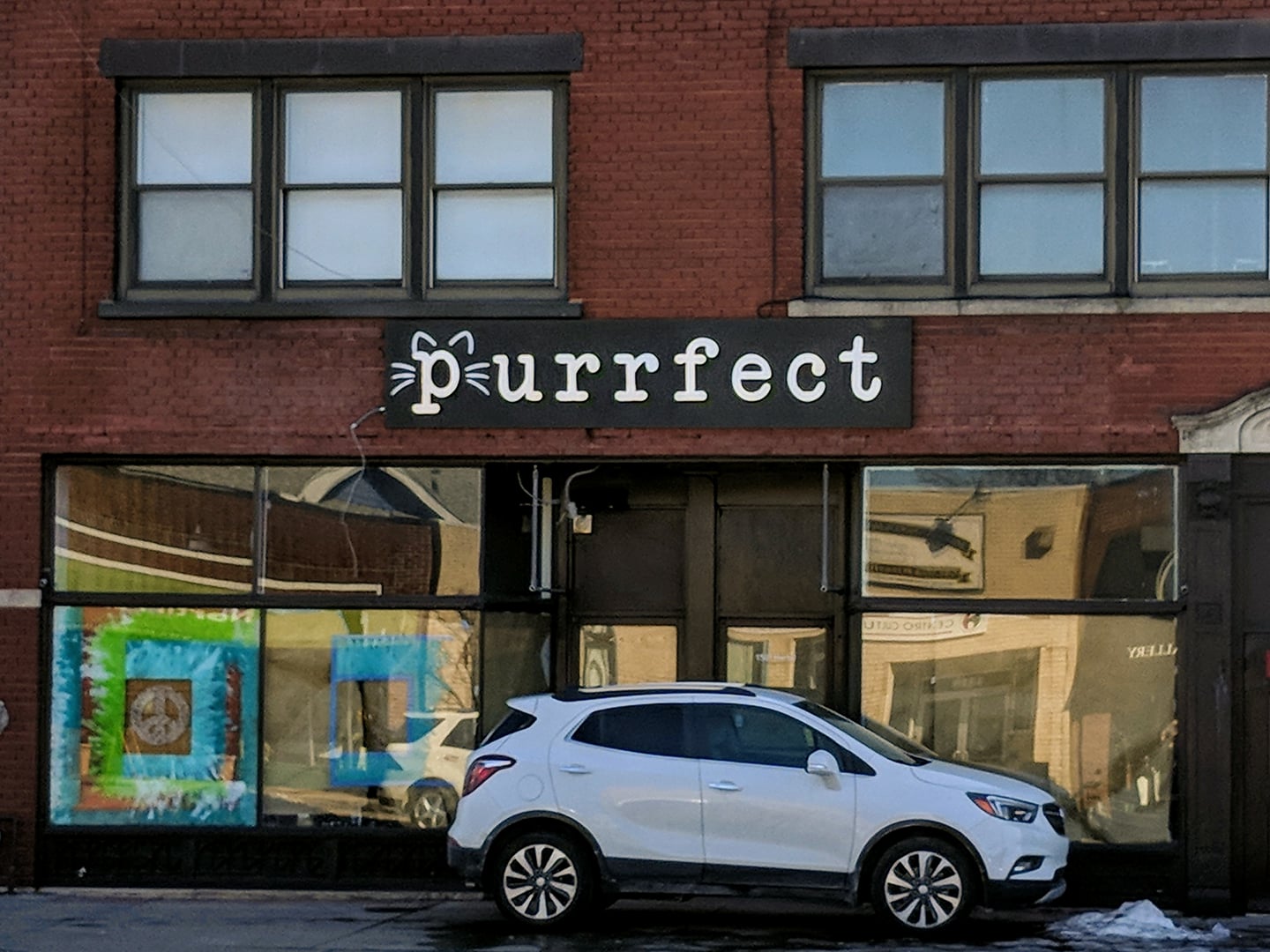 Purrfect Cafe And Gallery Is Best Cat Cafe In Buffalo