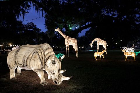 Get Into The Holiday Spirit With A Visit To The Audubon Zoo Lights In New Orleans