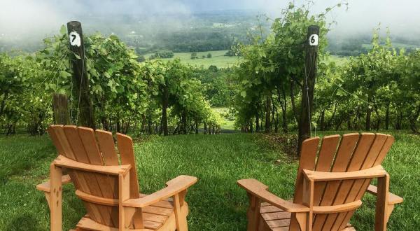 Travel To The Heart Of Virginia Wine Country And Enjoy The Stunning Views From Bluemont Vineyard