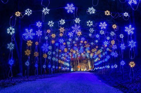 7 Christmas Light Displays In Missouri That'll Instantly Get You In The Holiday Spirit