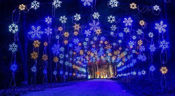 7 Christmas Light Displays In Missouri That’ll Instantly Get You In The Holiday Spirit