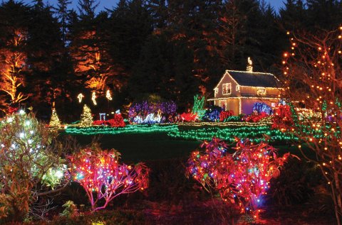 Adventure Through An Enchanted Wonderland Of Lights And Activities At Shore Acres State Park In Oregon