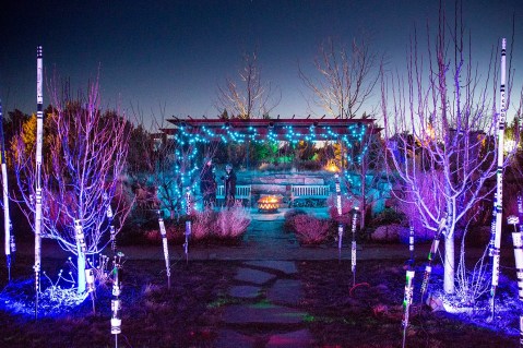 The Garden Christmas Light Displays At Santa Fe Botanical Garden In New Mexico Is Pure Holiday Magic