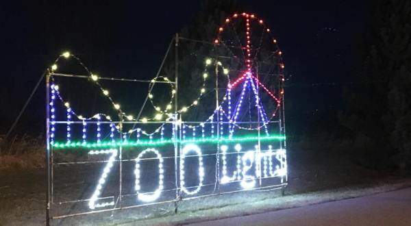 The Drive-Thru Christmas Lights Display In Montana The Whole Family Can Enjoy