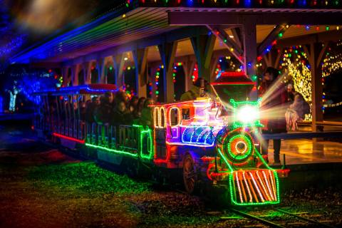 Children Of All Ages Will Love The Magical Holiday Light Experience At The Roswell Zoo In New Mexico