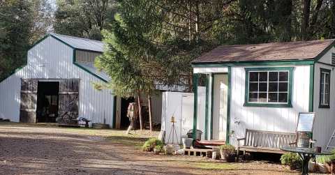 Plan A Family Outing At A Working Goat Farm And Creamery At Northern California's Jollity Farm