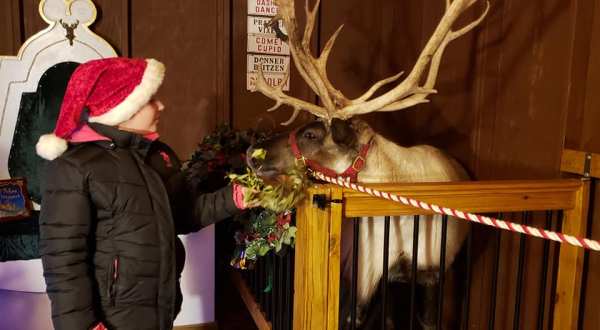 This Reindeer Farm Near Pittsburgh Will Positively Enchant You This Season