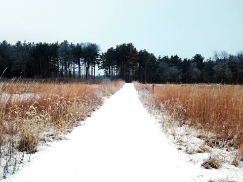 You'll Have A Blast When You Hit The Trails With Snowshoes At Jester Park In Iowa