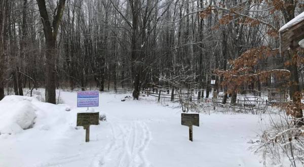 The Easy Snowshoe Trails At Sarett Nature Center Are Ideal For A Bright And Snowy Winter’s Day