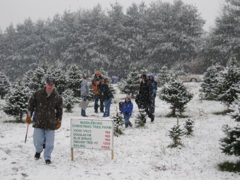 A Visit To The Middleburg Christmas Tree Farm In Virginia Might Become Your New Favorite Holiday Tradition