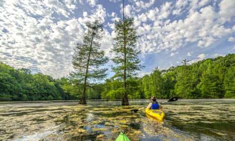 There's No Time Like The Present To Visit Arkansas' State Park Of The Year