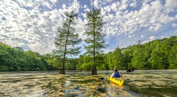 There’s No Time Like The Present To Visit Arkansas’ State Park Of The Year