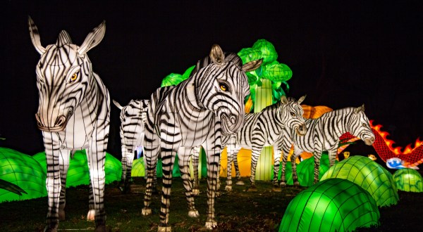There’s A Chinese Lantern Festival Coming To New York And It’s Downright Magical