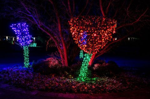 The Festival Of Lights In Missouri Is A Magical Wintertime Fairyland Experience