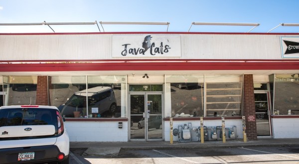 Java Cats Cafe Is A Completely Cat-Themed Catopia Of A Cafe In Georgia