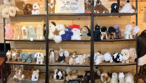 The Alpaca Boutique Near Cleveland Makes For A Fun Family Day Trip