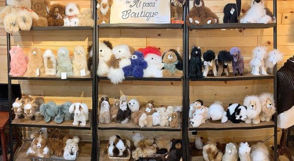 The Alpaca Boutique Near Cleveland Makes For A Fun Family Day Trip