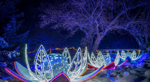 Winter Lights In Minnesota Is A Magical Wintertime Fairyland Experience