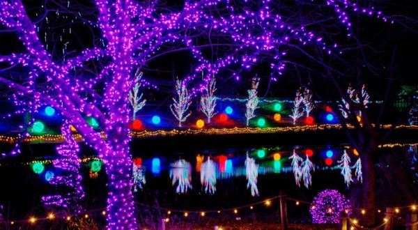 The Garden Christmas Light Displays At ChristmasTown Near Cincinnati Are Pure Holiday Magic