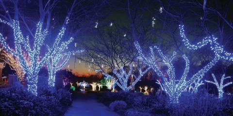 The Winter Walk Of Lights In Virginia Is A Magical Wintertime Fairyland Experience