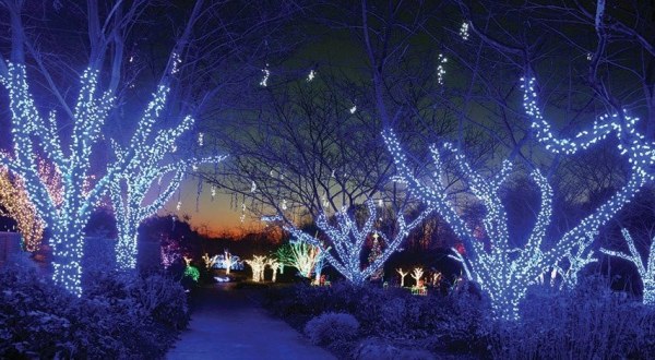 The Winter Walk Of Lights In Virginia Is A Magical Wintertime Fairyland Experience