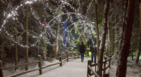 Banish The Winter Darkness At The Holiday Themed Zoo Lights In Alaska