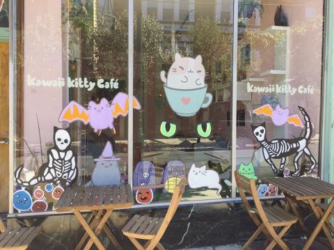 Kawaii Kitty Cafe Is A Completely Cat-Themed Catopia Of A Cafe In Pennsylvania