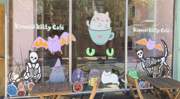 Kawaii Kitty Cafe Is A Completely Cat-Themed Catopia Of A Cafe In Pennsylvania