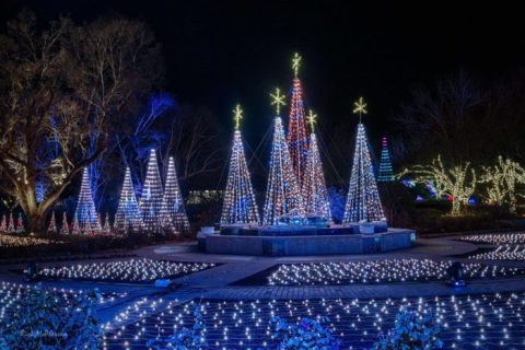 9 Christmas Light Displays In Kansas That'll Instantly Get You In The Holiday Spirit