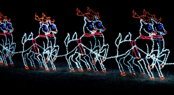 Enjoy Thousands Of Twinkling Lights On The Holiday Hayride At Lights On The Neuse In North Carolina