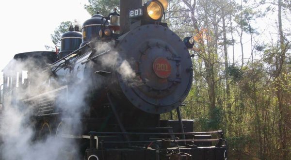 Take A 50-Mile Train Ride On The Texas State Railroad For A Scenic Adventure