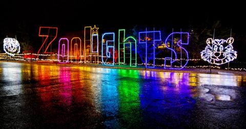 Walk Through Millions Of Holiday Lights At ZooLights In Arizona