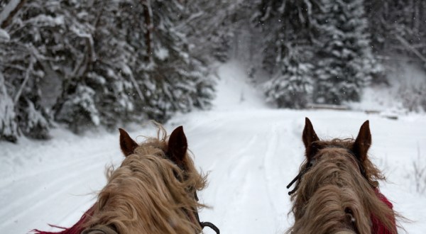 Enjoy Hot Cocoa And Carriage Rides In The Lorain County Metro Parks Near Cleveland This Winter