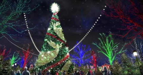 At 80 Feet Tall, One Of The Biggest Christmas Trees In The U.S. Is In Missouri For Your Family To Enjoy