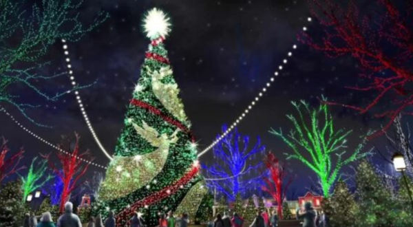 At 80 Feet Tall, One Of The Biggest Christmas Trees In The U.S. Is In Missouri For Your Family To Enjoy