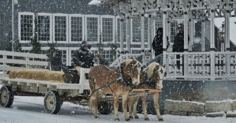 Take A Horse Drawn Wagon Ride Through An Idyllic Christmas Tree Farm At Pine Tree Barn In Ohio