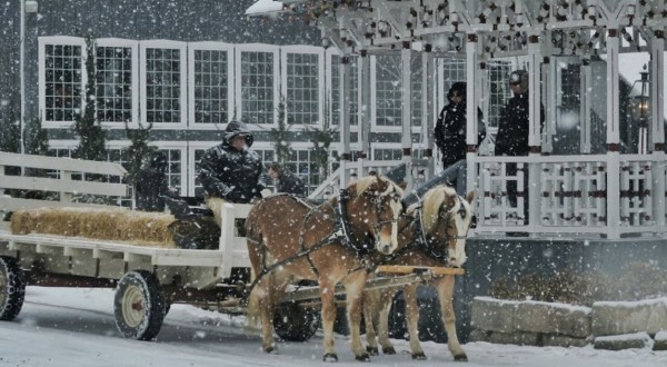 Take A Horse Drawn Wagon Ride Through An Idyllic Christmas Tree Farm At Pine Tree Barn In Ohio